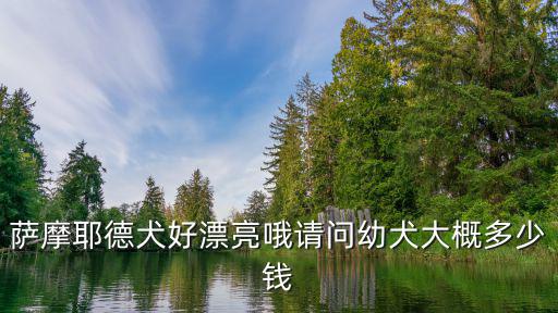 薩摩耶德犬好漂亮哦請問幼犬大概多少錢