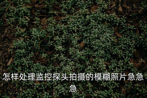 怎樣處理監控探頭拍攝的模糊照片急急急