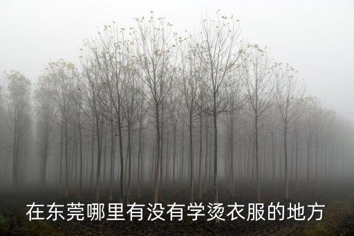 東莞大朗哪里要燙衣的，我想賣衣服東莞大朗的服裝店在哪里拿的貨啊
