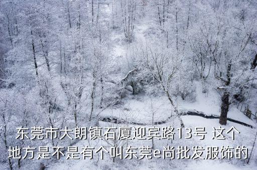 東莞大朗石廈路營業(yè)點(diǎn)，東莞市大朗鎮(zhèn)石廈迎賓路13號(hào) 這個(gè)地方是不是有個(gè)叫東莞e尚批發(fā)服飾的