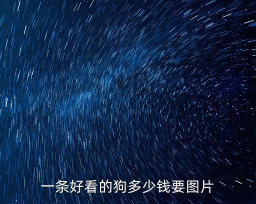 一條好看的狗多少錢要圖片