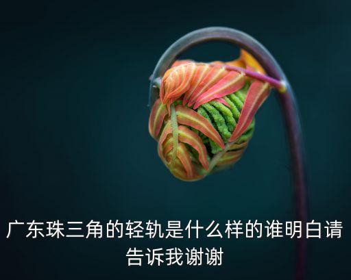 廣州地鐵什么樣的，廣州軌道交通