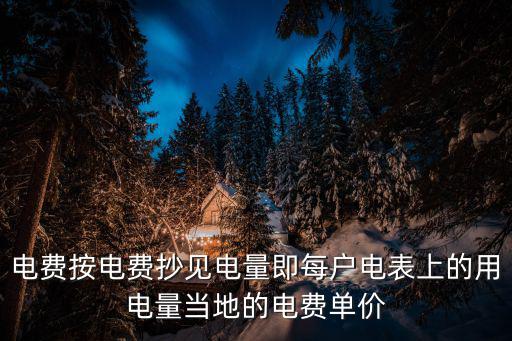 電費按電費抄見電量即每戶電表上的用電量當地的電費單價