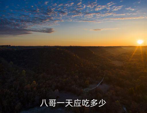 八哥一天應吃多少