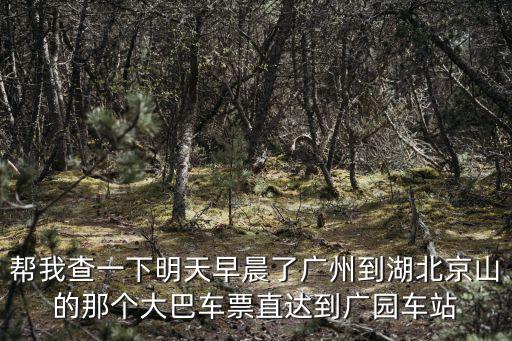 廣州到京山大巴汽車票，幫我查一下明天早晨了廣州到湖北京山的那個大巴車票直達到廣園車站