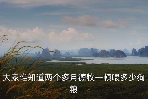 兩個半月一天吃多少狗糧，大家誰知道兩個多月德牧一頓喂多少狗糧