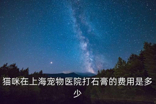 小貓骨折了多少錢，小貓從窗臺掉下來 后半身不能動 因為現居地偏僻看不了 懷疑腰椎骨折