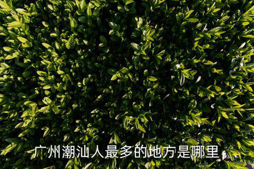 廣州潮汕人最多的地方是哪里