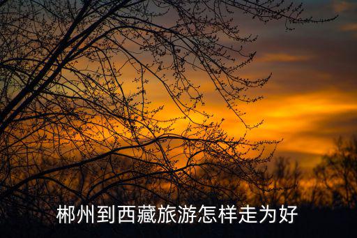 郴州到西藏旅游怎樣走為好