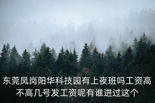 東莞鳳崗陽華廠怎么樣，東莞鳳崗陽華數碼公司真他媽的說話不算話對于這樣的公司怎么還有其他的