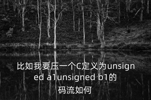 比如我要壓一個C定義為unsigned a1unsigned b1的碼流如何