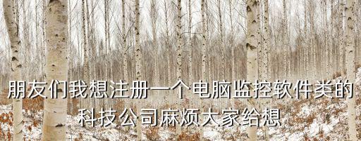 朋友們我想注冊一個電腦監(jiān)控軟件類的科技公司麻煩大家給想