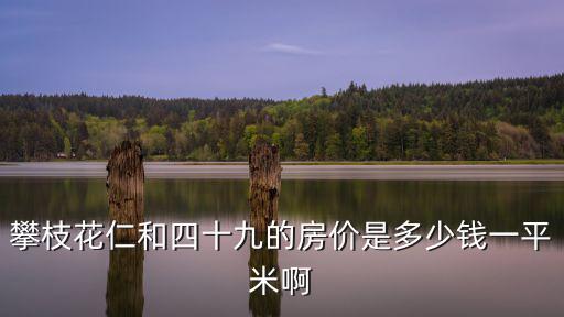 攀枝花仁和四十九的房價是多少錢一平米啊