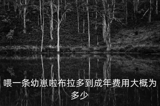 喂一條幼崽啦布拉多到成年費用大概為多少