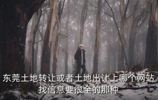東莞土地轉讓或者土地出讓上哪個網站找信息要很全的那種