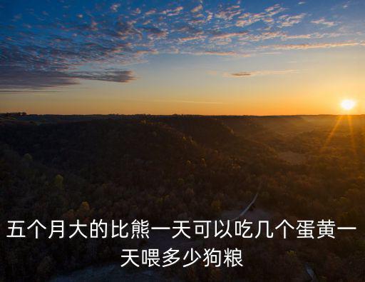 五個(gè)月大的比熊一天可以吃幾個(gè)蛋黃一天喂多少狗糧