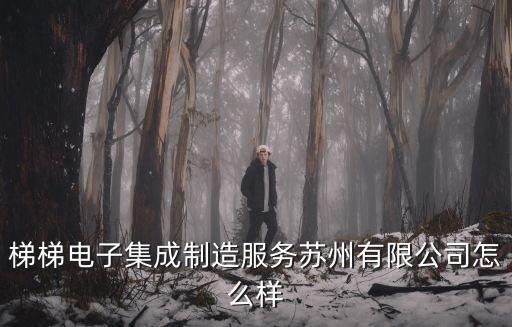 梯聯智能科技有限公司怎么樣，北京網梯科技發展有限公司怎么樣啊