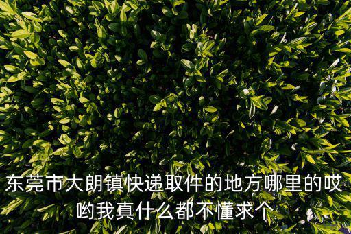 東莞市大朗鎮快遞取件的地方哪里的哎喲我真什么都不懂求個
