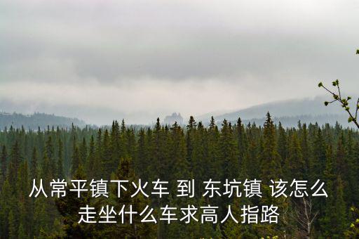 從常平鎮下火車 到 東坑鎮 該怎么走坐什么車求高人指路