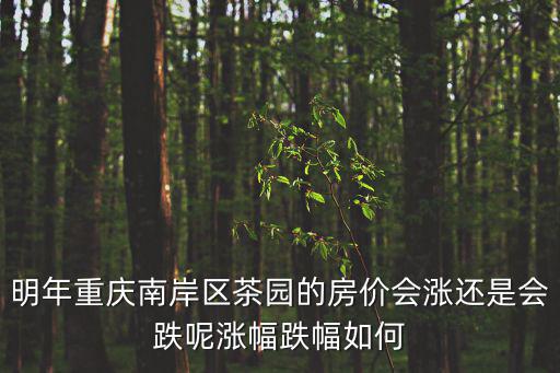 明年重慶南岸區茶園的房價會漲還是會跌呢漲幅跌幅如何