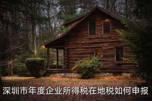 深圳市年度企業所得稅在地稅如何申報