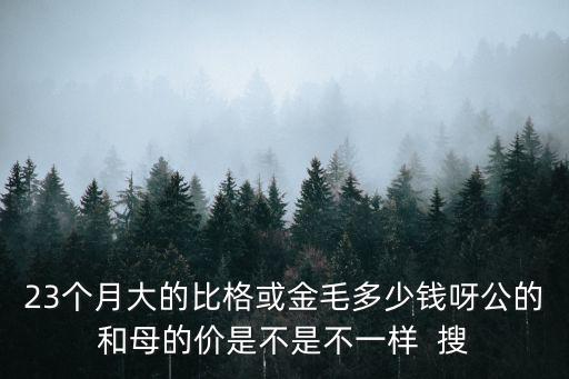 兩個月比格喂多少錢，兩個月的小孩一般格幾個小時喂一次一次喂多少