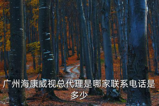 廣州海康威視總代理是哪家聯系電話是多少