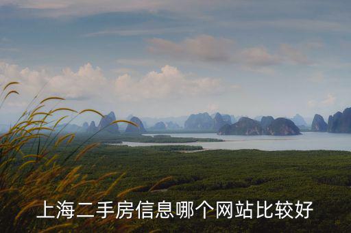 上海哪個網站房價準，上海二手房信息哪個網站比較好