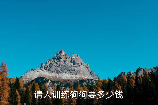請人訓練狗狗要多少錢
