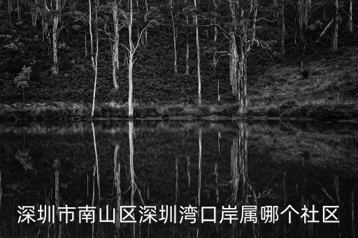 深圳市南山區(qū)深圳灣口岸屬哪個社區(qū)