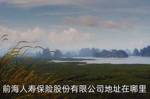 深圳市前海人壽保險公司，前海人壽保險WWWforeseaIifecom