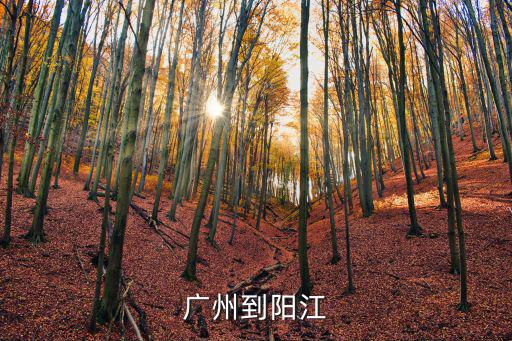 廣州到陽江