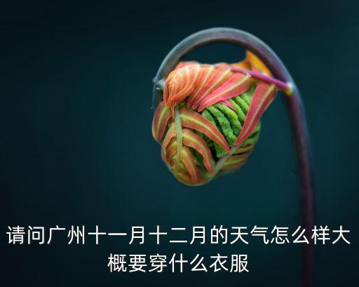 請問廣州十一月十二月的天氣怎么樣大概要穿什么衣服