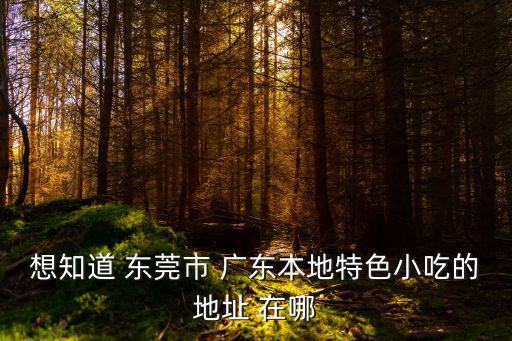 想知道 東莞市 廣東本地特色小吃的地址 在哪