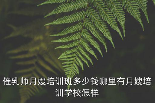 催乳師月嫂培訓(xùn)班多少錢哪里有月嫂培訓(xùn)學(xué)校怎樣