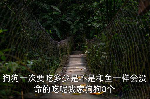 狗狗一次要吃多少是不是和魚一樣會沒命的吃呢我家狗狗8個