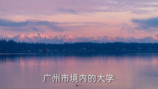廣州市境內的大學