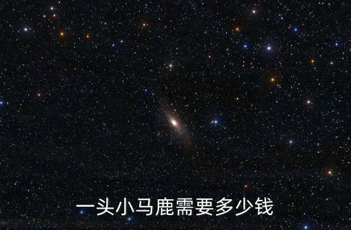 一頭小馬鹿需要多少錢(qián)