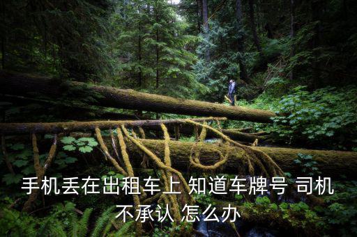手機(jī)丟在出租車(chē)上 知道車(chē)牌號(hào) 司機(jī)不承認(rèn) 怎么辦