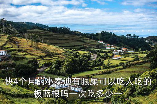快4個月的小泰迪有眼屎可以吃人吃的板藍根嗎一次吃多少一