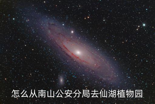 怎么從南山公安分局去仙湖植物園