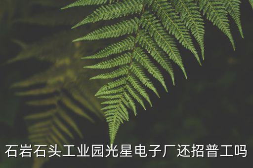 石巖石頭工業(yè)園光星電子廠還招普工嗎
