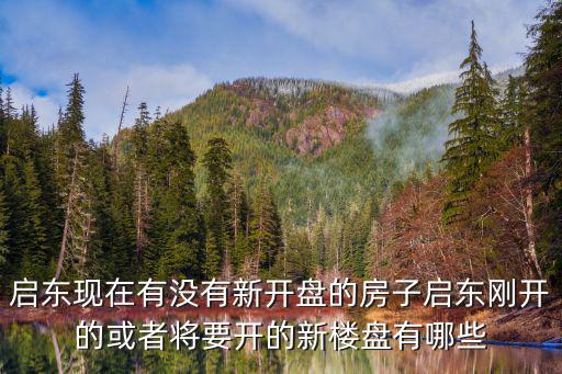 啟東房價哪個樓盤好，啟東恒大海上威尼斯值房子質量怎么樣可以買嗎