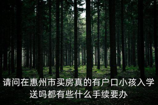 請(qǐng)問在惠州市買房真的有戶口小孩入學(xué)送嗎都有些什么手續(xù)要辦