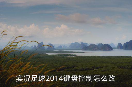 球機控制鍵盤怎么設置，實況足球2014鍵盤控制怎么改