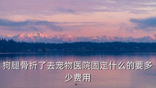 狗大腿骨頭錯位多少錢，我的小狗被的士壓的骨頭好像移位請位如果去寵物醫院看要多少錢