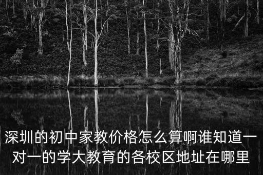 深圳的初中家教價格怎么算啊誰知道一對一的學大教育的各校區地址在哪里
