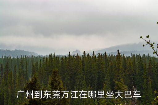 廣州到東莞萬江在哪里坐大巴車