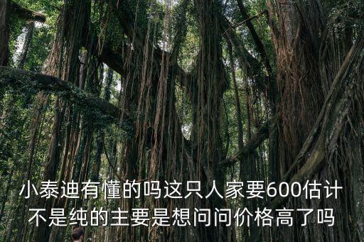 小泰迪有懂的嗎這只人家要600估計不是純的主要是想問問價格高了嗎
