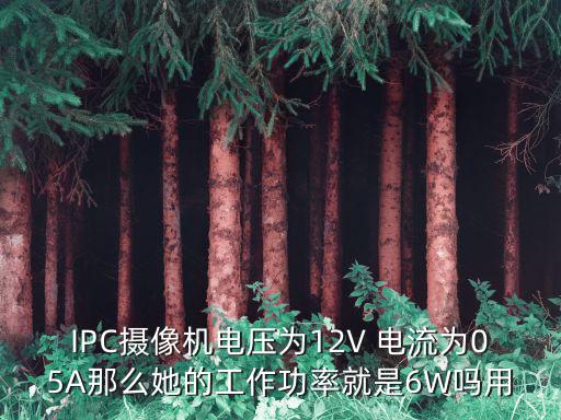 IPC攝像機電壓為12V 電流為05A那么她的工作功率就是6W嗎用